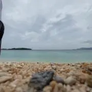 kokoの画像