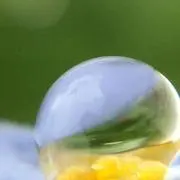 ☪️ムーミンミンの画像