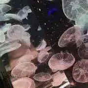 断捨離⭕️6/16-19発送不可の画像