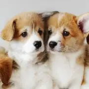 ☆ みーたん☆の画像