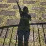 VLADIの画像