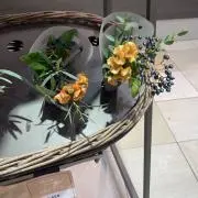 ライムの画像