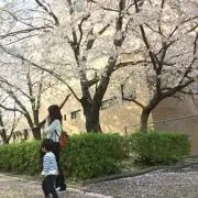 ゆう