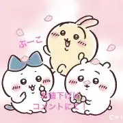 ぷーこの画像