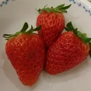 ☆なちこ☆の画像