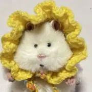 あみあみの画像