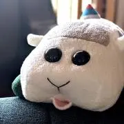 回転ずしの画像