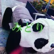みどりの画像