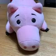 ハムの画像