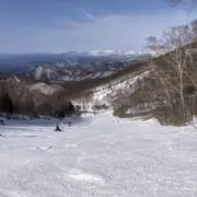 くまの画像