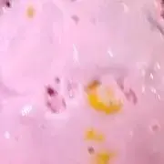 甲殻類の画像