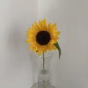 mの画像