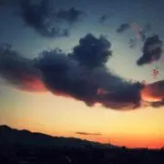 風野