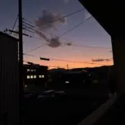 あーにゃん