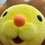 yahoo