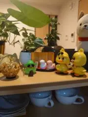 NOWWATCHの画像