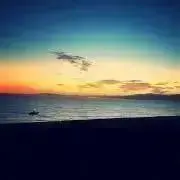 海月の画像