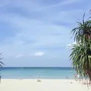 チサト62