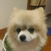 アリス33 自己紹介読んで❗