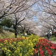 ころんころんの画像
