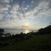 あの画像