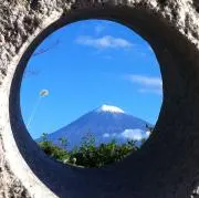 シーオッターの画像