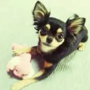 ひかるの画像