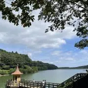 kakaの画像