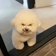 にらの画像
