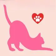 アミ猫の画像