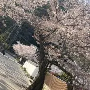 ゆきんこ