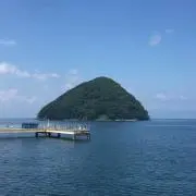 しらたき