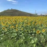 ぼーちゃん⭐︎値下げ交渉受け付けます⭐︎の画像