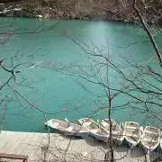ゆかり