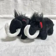 yuyaseki555の画像