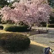 みちかなの画像