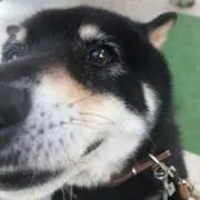 りょーの画像