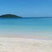 NANAの画像