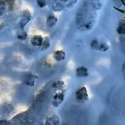 無⚠プロフ必読の画像