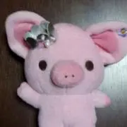 Pinkpig
