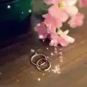 ♪華蝶楓月♪