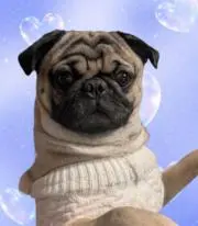 ななごん（プロフィール必読）