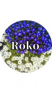 Rokoの画像