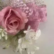 テニプリ ホワイトデーメッセージレター 菊丸英二 - メルカリ