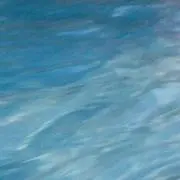 たけ⚠︎プロフィール見て下さい