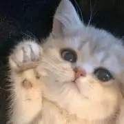 k‪‪❤︎‬の画像