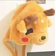 ひなたーの画像