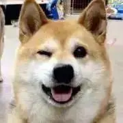 Briver※プロフ読推奨の画像