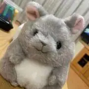 りべるたすの画像
