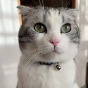☆yochi☆の画像